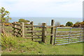 NX1239 : Kissing Gate on the Mull of Galloway Trail by Billy McCrorie