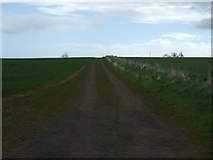 NU0043 : Farm track near Berrington Backhill Farm by JThomas
