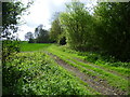 Field edge below Birling Place Farm