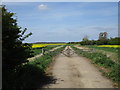 Willow Lane, Ruskington Fen