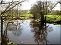 Foster  Beck  enters  the  river  Nidd