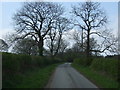 Road towards Stob Hill