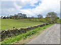 Rodknoll Farm from Loadshead  Lane