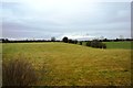 Farmland by the railway line