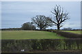 Farmland by the railway line