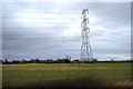 Pylon near Bomere Heath