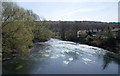 The River Aire seen from the bridge at Apperley Bridge