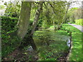 Pond on side of road near Ivytree Farm, Shelley