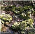 Carved stones, West Wood, Greengates