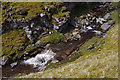 SD8695 : Fossdale Gill by Ian Taylor