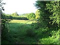 Field near Lydney