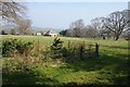 Farmland at Woodlands