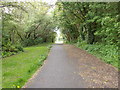 Footpath - Colton Lane