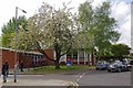 Shenfield Library on Polling Day