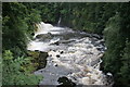 Below Bonnington Linn