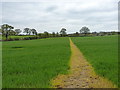 Footpath towards south Eardington