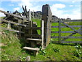 SD9415 : Stile on path from Ealees to Whittaker by Raymond Knapman