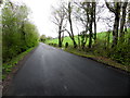 Fingerpost Road, Glasmullagh South