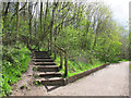 Steps up from Astbury Mere