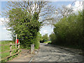 Spring Road by the footpath to the windmill