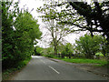 Nethergate Street, Hopton