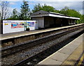 Romsey railway station mural