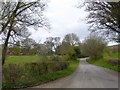 Road into Hope Bowdler from the south