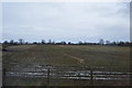 SJ3428 : Muddy farmland by N Chadwick