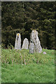 Aikey Brae Recumbent Stone Circle (3)