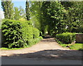 Lane to Park Cottage, West Dean