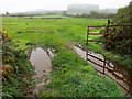 W2337 : Wet green field by Neville Goodman