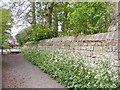 Sedgley Path Wall