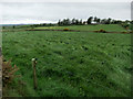 W1737 : Fine grassland by Neville Goodman