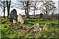 Berrybrae Recumbent Stone Circle (4)