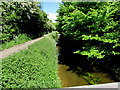 North along Canal Walk and the Barge Canal, Romsey