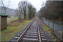 SX5158 : Plym Valley Railway by N Chadwick