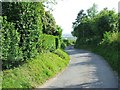 Scarborough Lane, near Burham