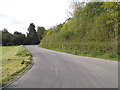 The road to Andover Down Farm