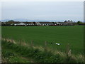 Crop field near Chirnside