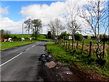 H4669 : B83 Seskinore Road, Doogary by Kenneth  Allen