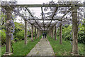 Wisteria Archway, Trent Park, Cockfosters, Hertfordshire