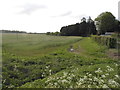 Field by Fox Cottages, Andover Down