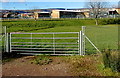 Newport High School from a field gate