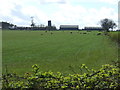 Grazing towards Dunstan Hill Farm