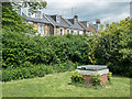 Community Garden, Myddleton Road, London N22