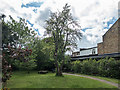 Community Garden, Myddleton Road, London N22