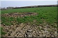 SS4117 : Farmland near Tythecott by Philip Halling