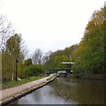 Peak Forest Canal