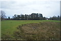 Boggy area by the railway line