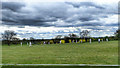 SK6703 : Cricket Pitch, Houghton on the Hill by Mick Garratt